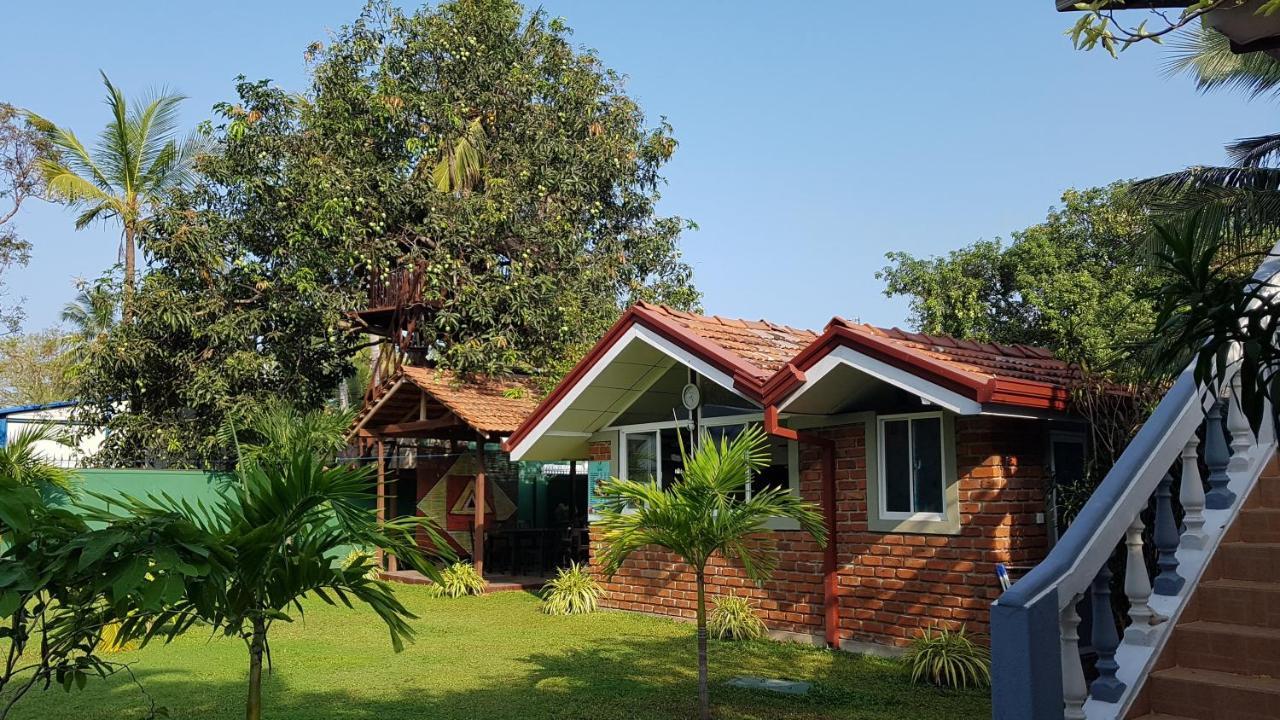 Lioni Holidays Villa Negombo Exteriör bild